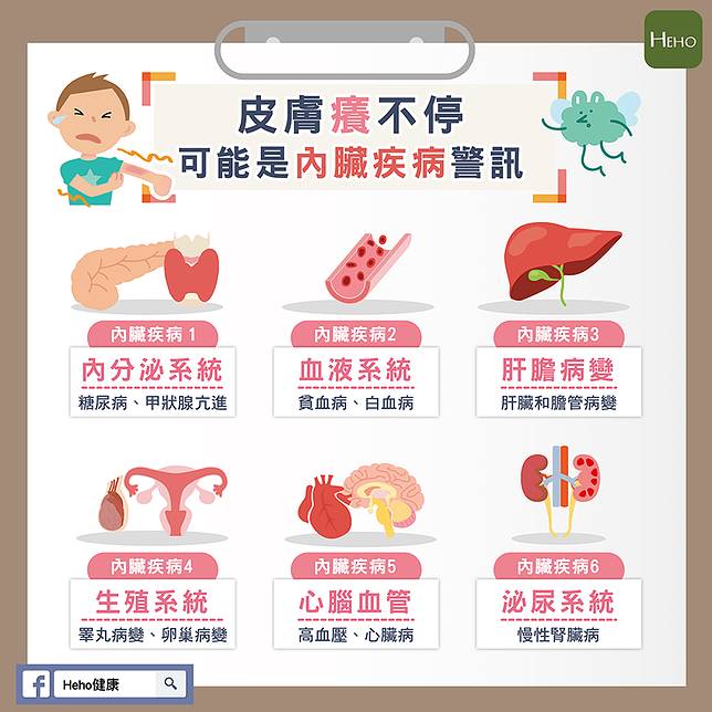 欧亿3 皮肤痒不停当心